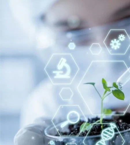 rowertech-services-1